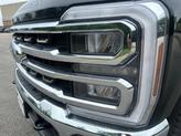 Thumbnail of 2025 Agate Black Metallic Ford F-250
