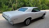 Thumbnail of 1966 White Pontiac GTO