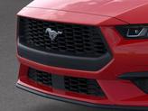 Thumbnail of 2025 Race Red Ford Mustang