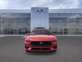 Thumbnail of 2025 Race Red Ford Mustang