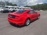 Thumbnail of 2021 Race Red Ford Mustang