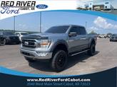 Photo of 2021 Silver Ford F-150