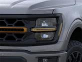 Thumbnail of 2025 Carbonized Gray Metallic Ford F-150
