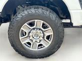 Thumbnail of 2023 WHITE Ford F-250