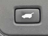 Thumbnail of 2022 Unk Honda Passport