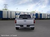 Thumbnail of 2025 Silver Ford F-150