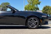 Thumbnail of 2024 Shadow Black Ford Mustang