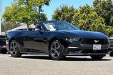 Thumbnail of 2024 Shadow Black Ford Mustang