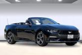 Thumbnail of 2024 Shadow Black Ford Mustang