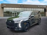 Photo of 2025 Abyss Black Pearl Hyundai PALISADE