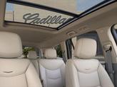 Thumbnail of 2025 Radiant Red Tintcoat Cadillac XT6