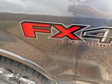 Thumbnail of 2018 Magnetic Ford F-150