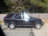 Thumbnail of 2004 Nighthawk Black Pearl Honda CR-V