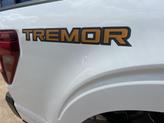 Thumbnail of 2025 Oxford White Ford F-150