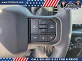 Thumbnail of 2025 Iconic Silv Ford F-150