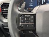 Thumbnail of 2024 Avalanche Ford F-150