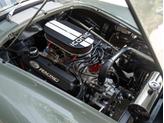 Thumbnail of 1965 Sage Green AC Shelby Cobra