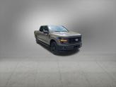 Thumbnail of 2025 Marsh Gray Ford F-150