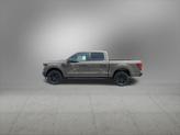 Thumbnail of 2025 Marsh Gray Ford F-150