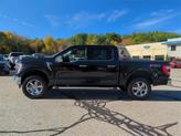 Thumbnail of 2021 Agate Black Metallic Ford F-150