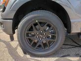 Thumbnail of 2025 Carbonized Gray Metallic Ford F-150