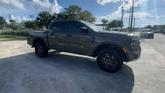 Thumbnail of 2025 Gray Ford Ranger