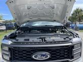 Thumbnail of 2025 Avalanche Ford F-350