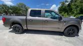 Thumbnail of 2023 Stone Gray Metallic Ford F-150