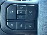Thumbnail of 2025 Carbonized Gray Metallic Ford F-150