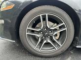Thumbnail of 2022 Shadow Black Ford Mustang