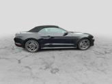 Thumbnail of 2022 Shadow Black Ford Mustang