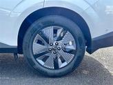 Thumbnail of 2025 Everest White P Nissan Murano