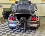 Thumbnail of 2019 Magnetic Ford Mustang