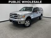Photo of 2013 Ingot Silver Ford F-150