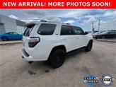 Thumbnail of 2024 Ice Toyota 4Runner