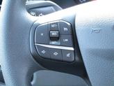 Thumbnail of 2025 Oxford White Ford Transit-250