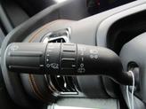 Thumbnail of 2025 Gray Ford Expedition