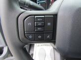 Thumbnail of 2025 Carbonized Gray Metallic Ford F-350