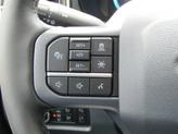 Thumbnail of 2025 Carbonized Gray Metallic Ford F-350