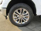 Thumbnail of 2024 Oxford White Ford F-150