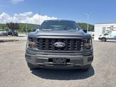 Thumbnail of 2025 Carbonized Gray Metallic Ford F-150