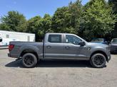 Thumbnail of 2025 Carbonized Gray Metallic Ford F-150
