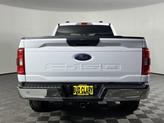 Thumbnail of 2023 White Ford F-150
