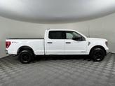 Thumbnail of 2023 White Ford F-150