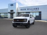 Thumbnail of 2025 White Metallic Ford F-150