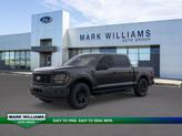 Photo of 2025 Black Metallic Ford F-150