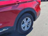 Thumbnail of 2022 Rapid Red Metallic Tinted Clearcoat Ford Explorer