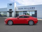Thumbnail of 2025 Race Red Ford Mustang