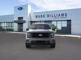 Thumbnail of 2025 Carbonized Gray Metallic Ford F-150