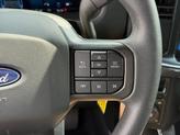 Thumbnail of 2025 Carbonized Gray Metallic Ford F-150